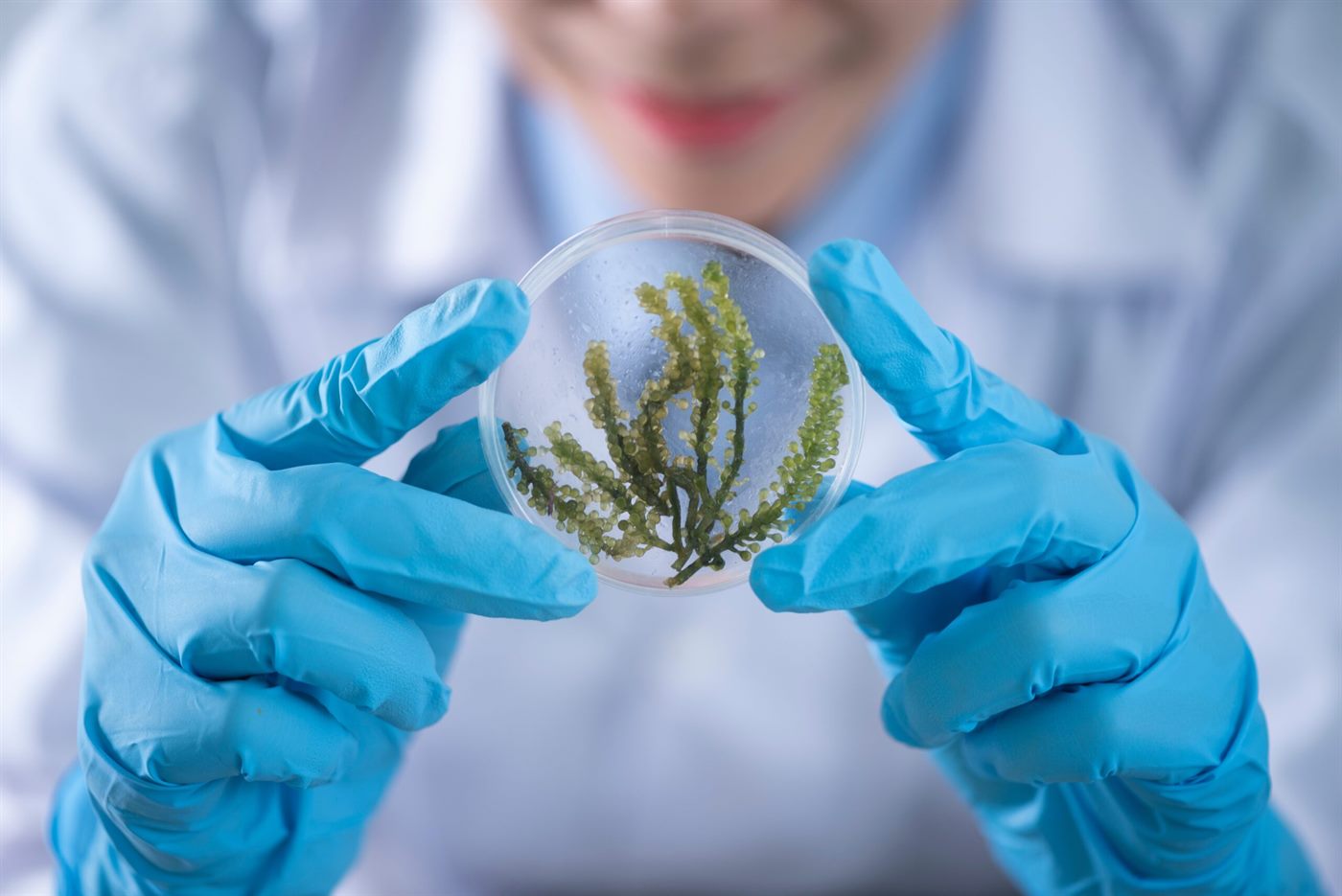 Laboratorio Synthelast: control de materiales sostenibles